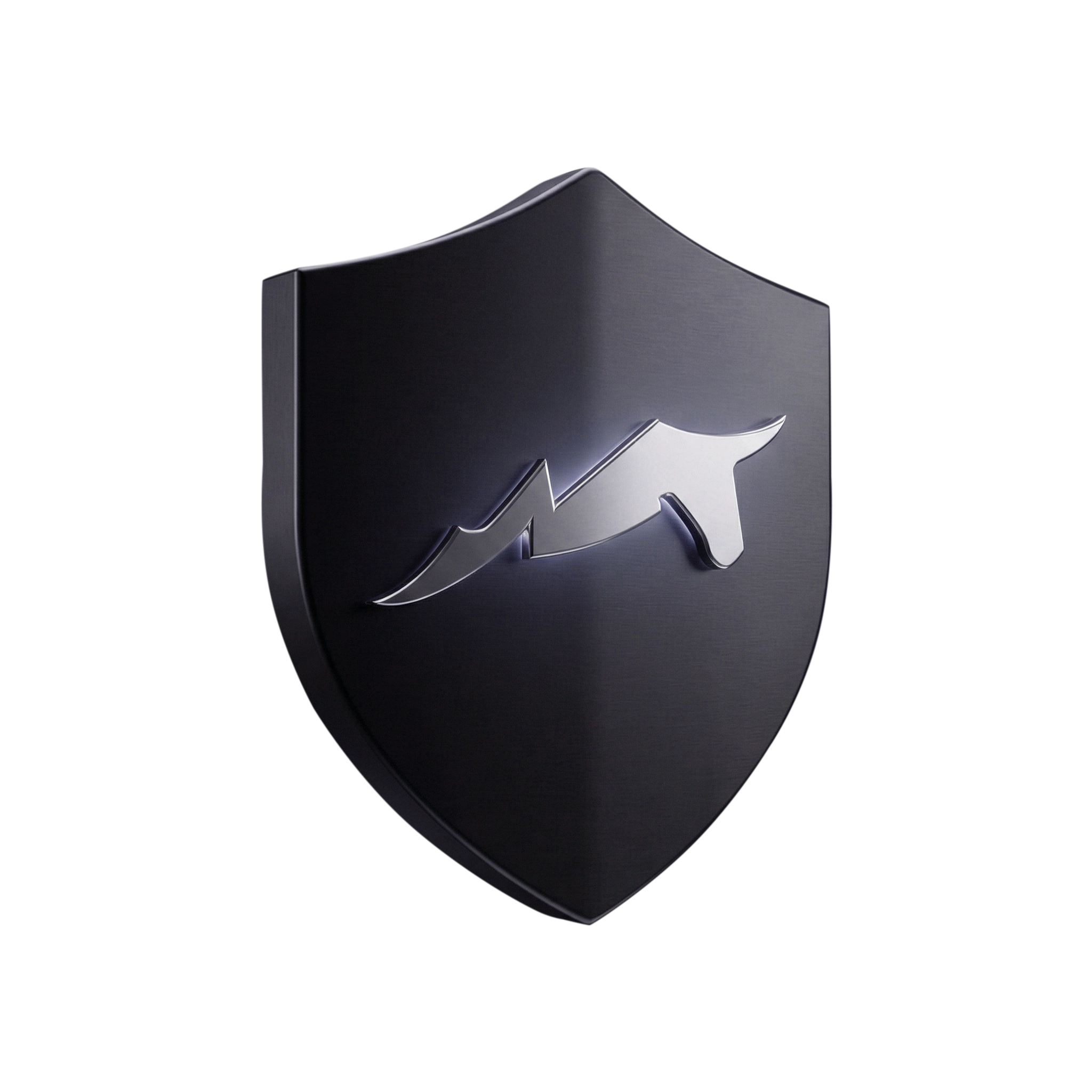 Security Shield